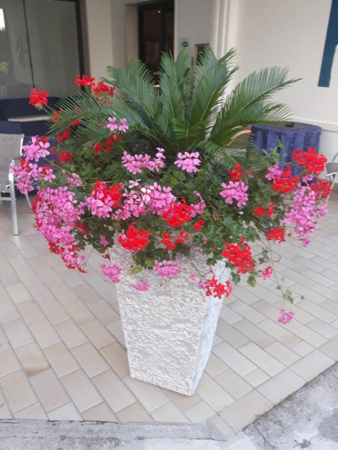 Hotel Serenella Lido di Jesolo Buitenkant foto